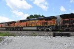 BNSF 6554 Roster shot